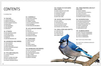 Backyard Birds of North America