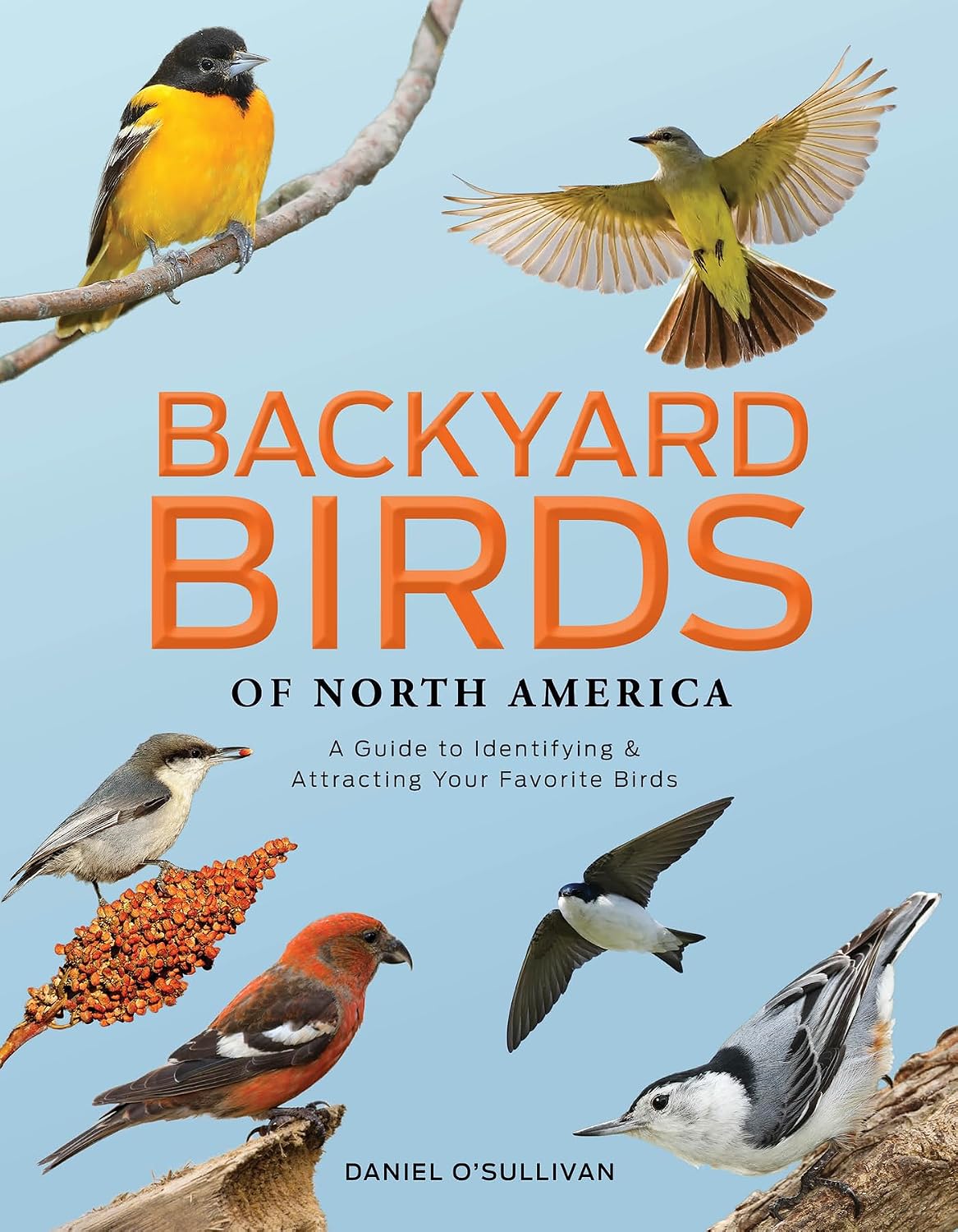 Backyard Birds of North America