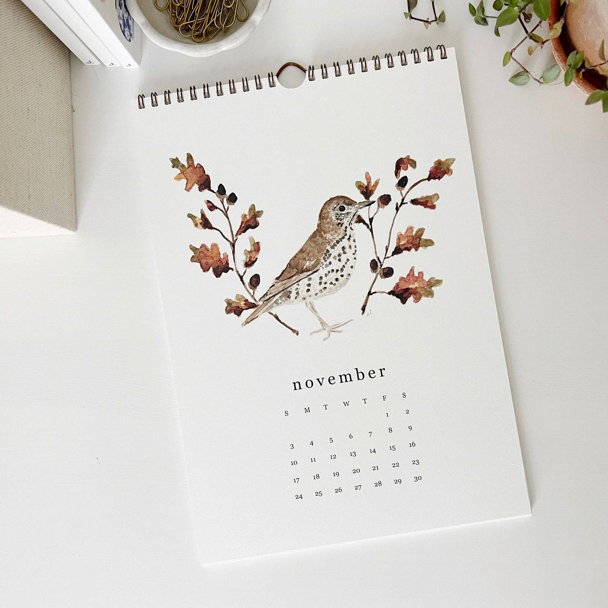 emily lex studio - 2024 birds & branches wall calendar