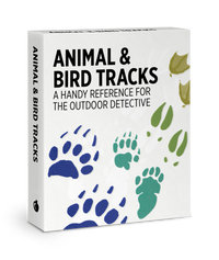 Animal & Bird Tracks: A Handy Reference for the Outdoor Detective Knowledge Cards