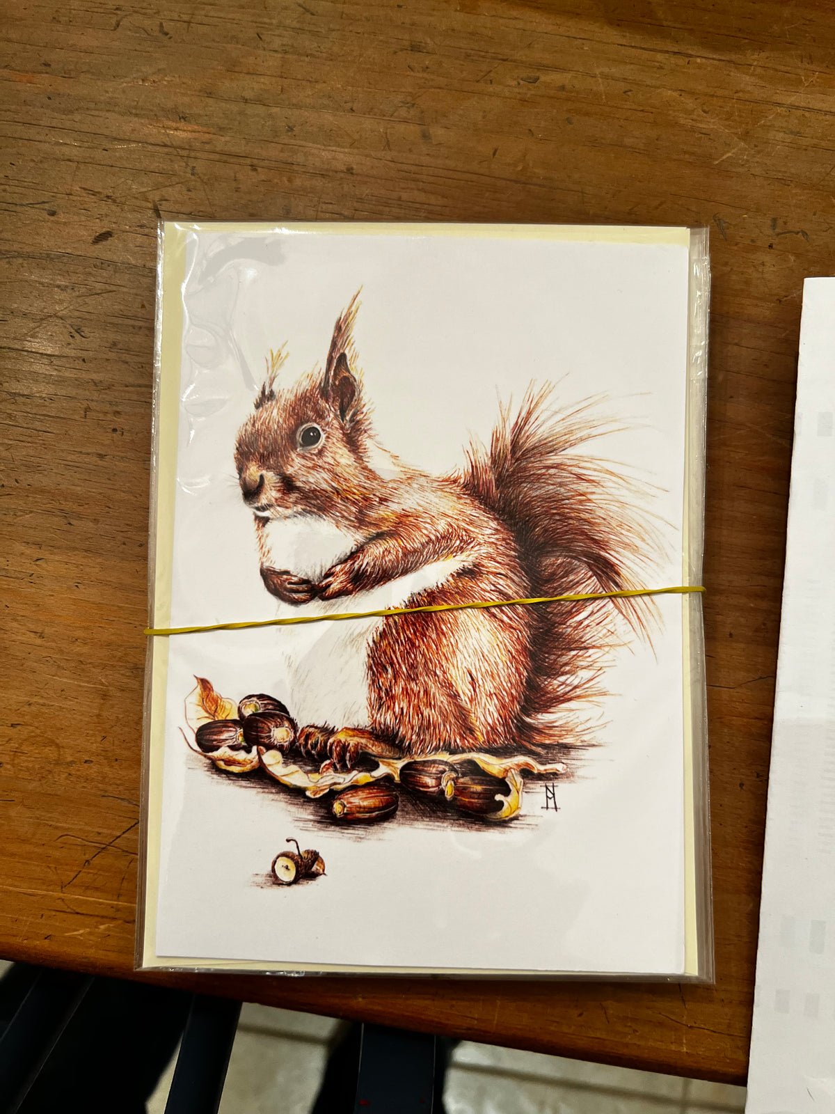 Wild Grey Fox - Greeting Cards