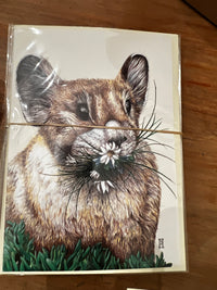 Wild Grey Fox - Greeting Cards