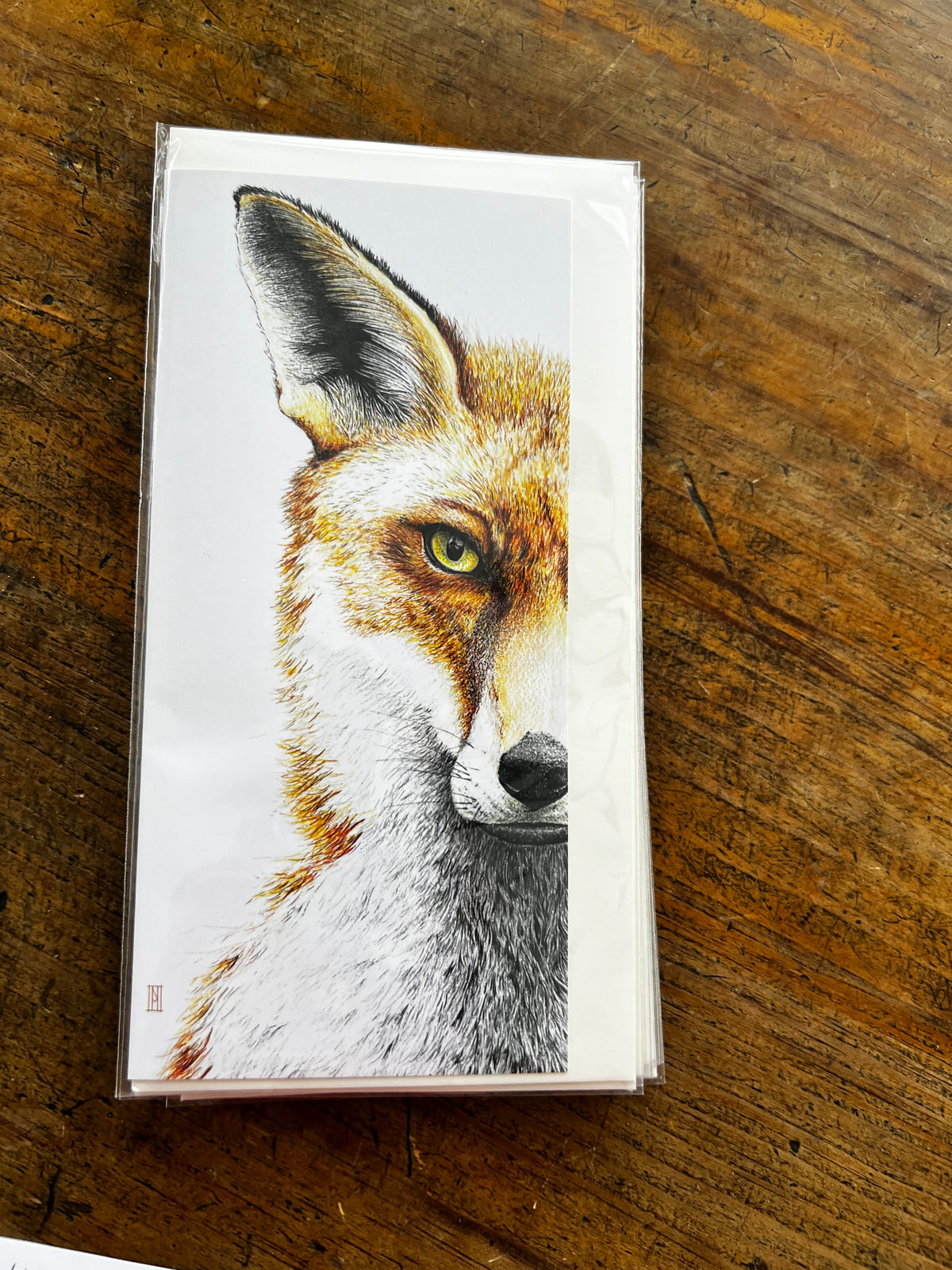 Wild Grey Fox - Greeting Cards
