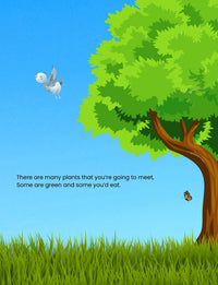 Doodle Paw Press - Hello Plants- Educational Colouring Book.