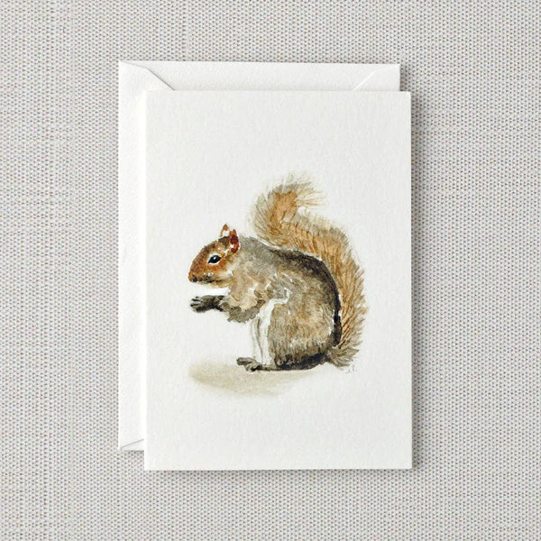 emily lex studio - squirrel mini notecard