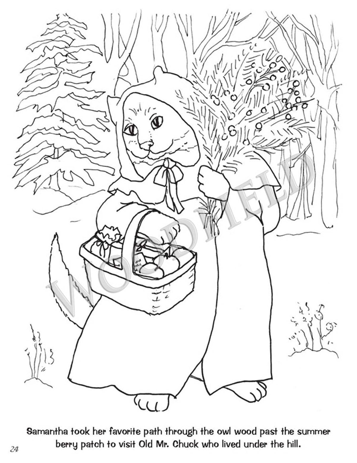 Woodfield Press - Tales from Woodfield Coloring Book