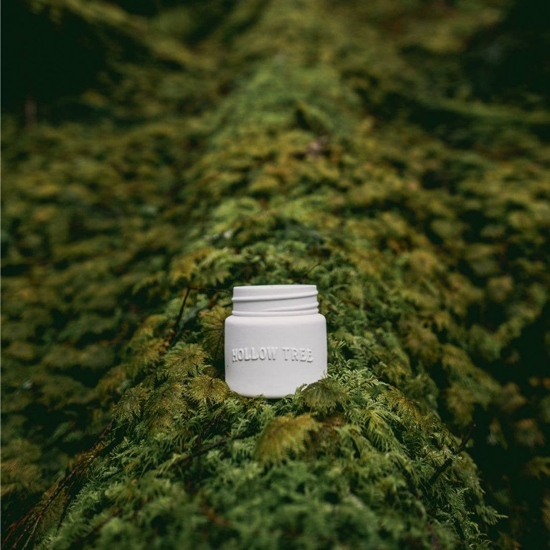 Hollow Tree Candle Co - Lone Pine Candle - 9oz Ceramic Jar