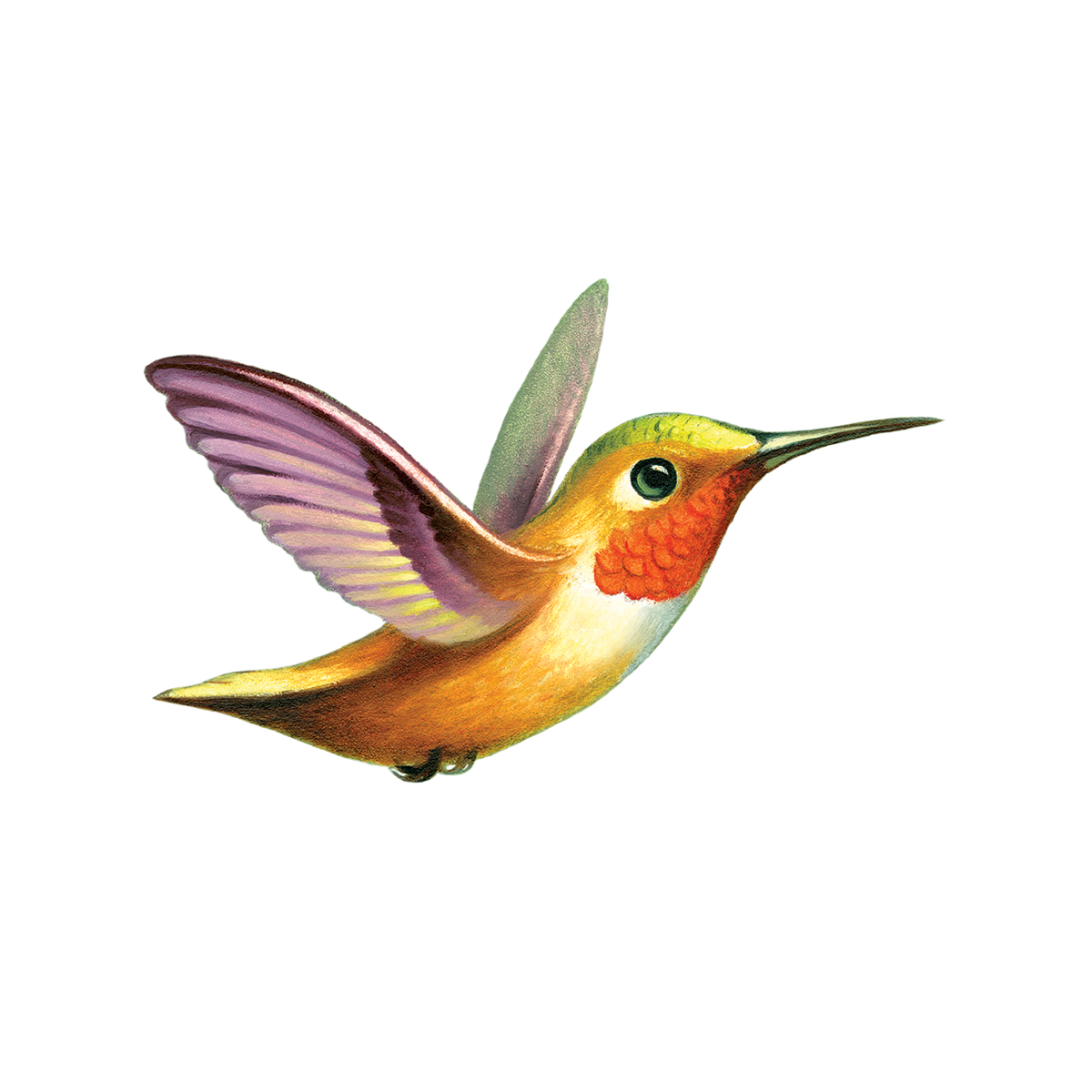 Tattly - Hummingbird Tattoo Pair