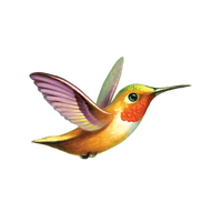 Tattly - Hummingbird Tattoo Pair