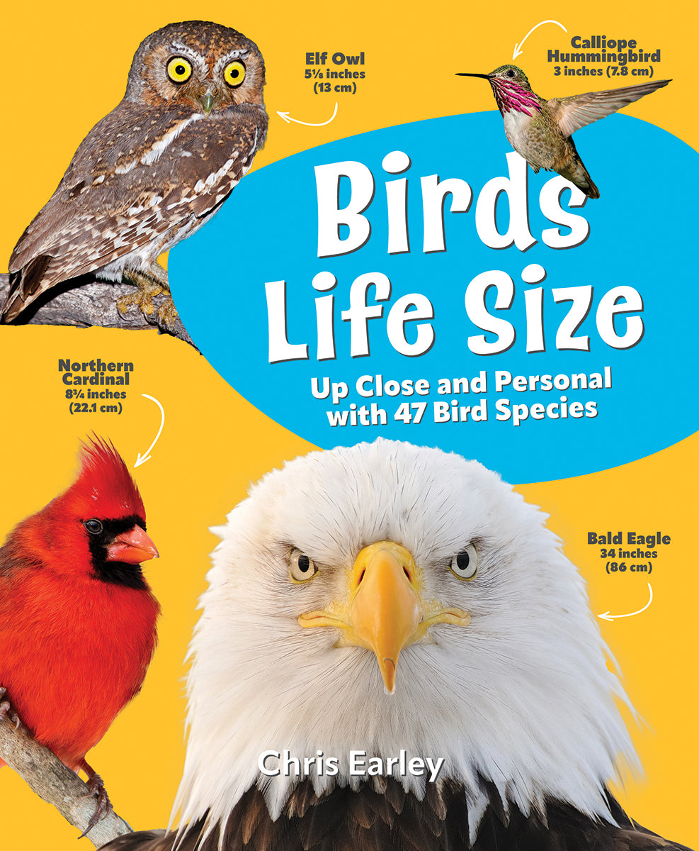 Birds - Life Size by Chris Earley