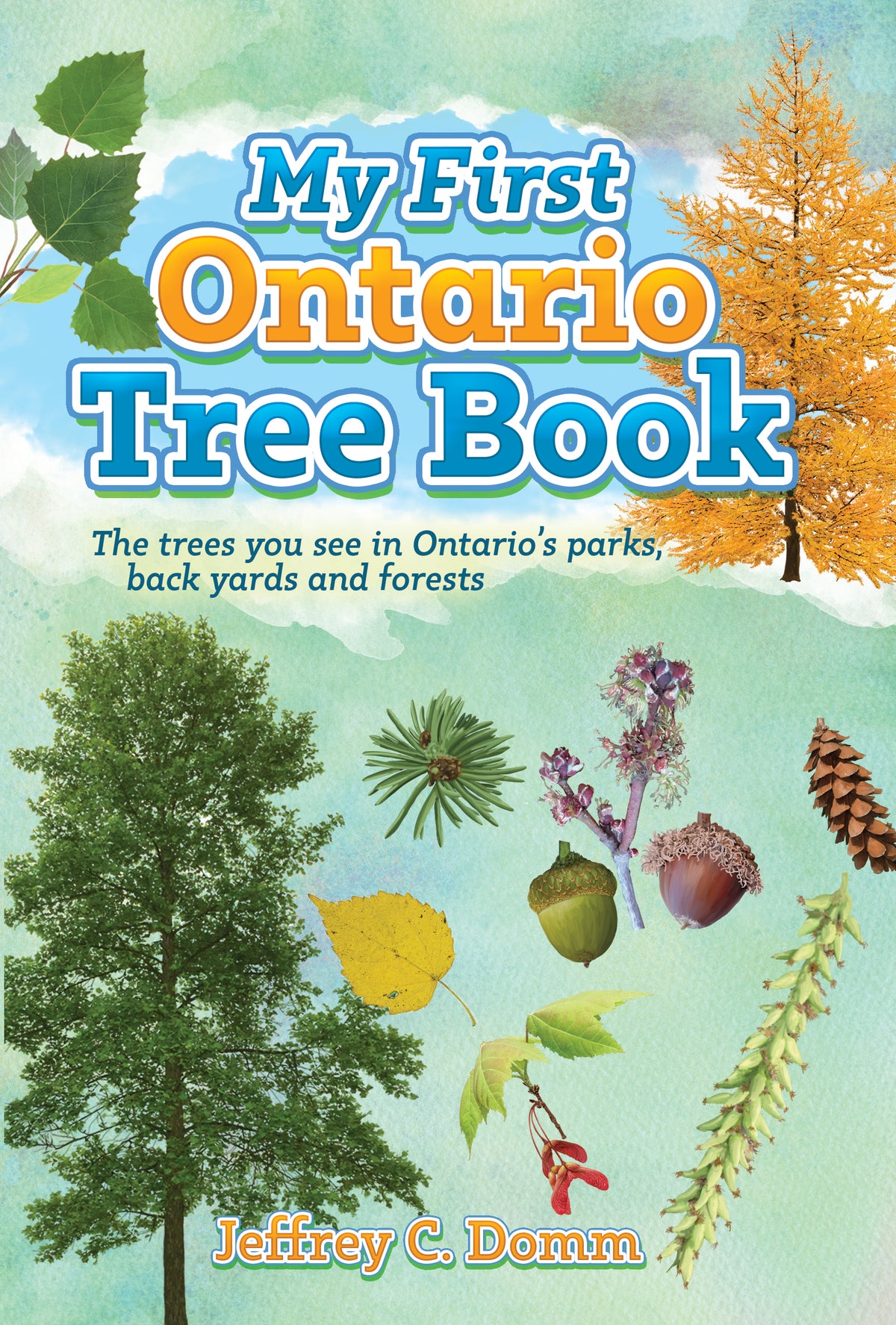 My First Ontario Tree Book by Jeffrey C. Domm