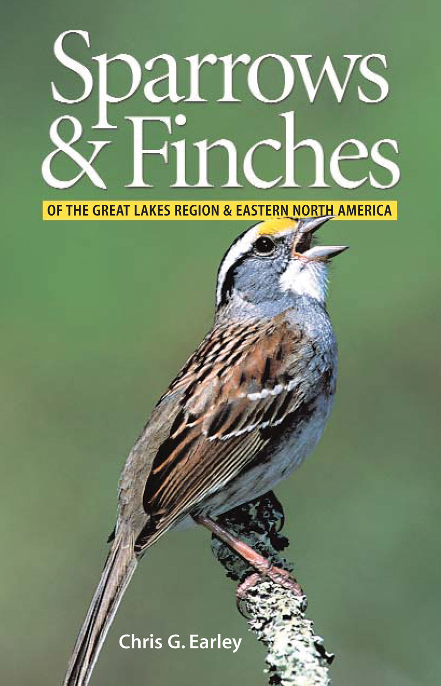 Sparrows & Finches of The Great Lakes Region & Eastern North America by Chris Earley