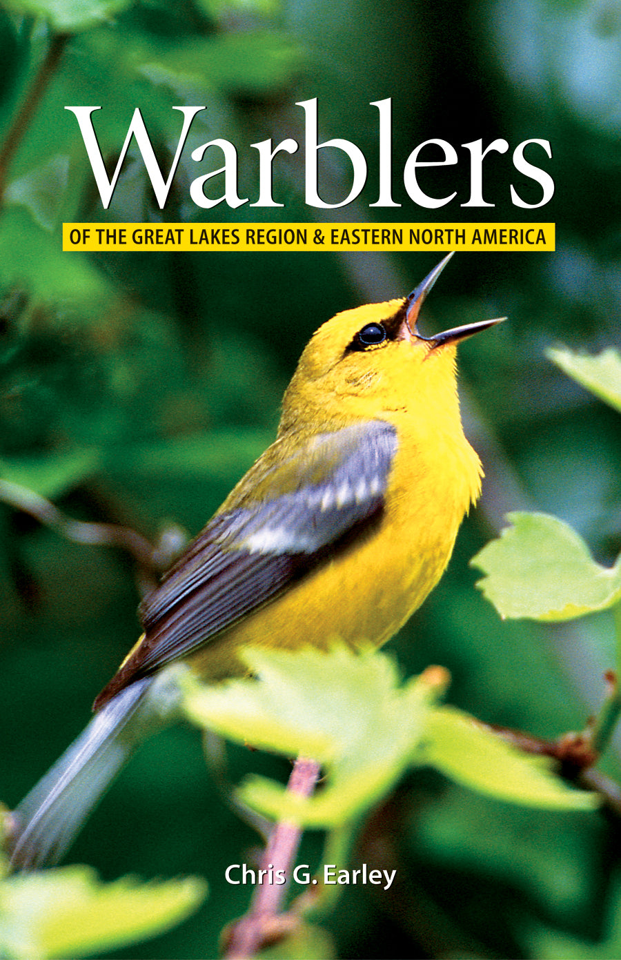 Warblers of The Great Lakes Region by Chris Earley