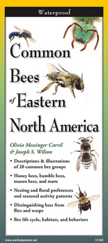 Common Bees of Eastern North America – Folding Guide