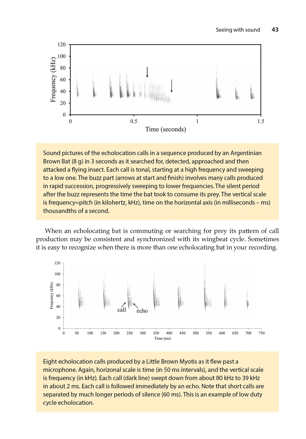 A Miscellany of Bats
