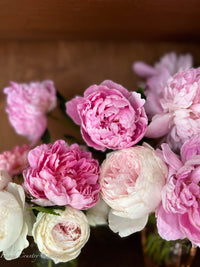Rose & Peony Foaming Hand & Body Wash
