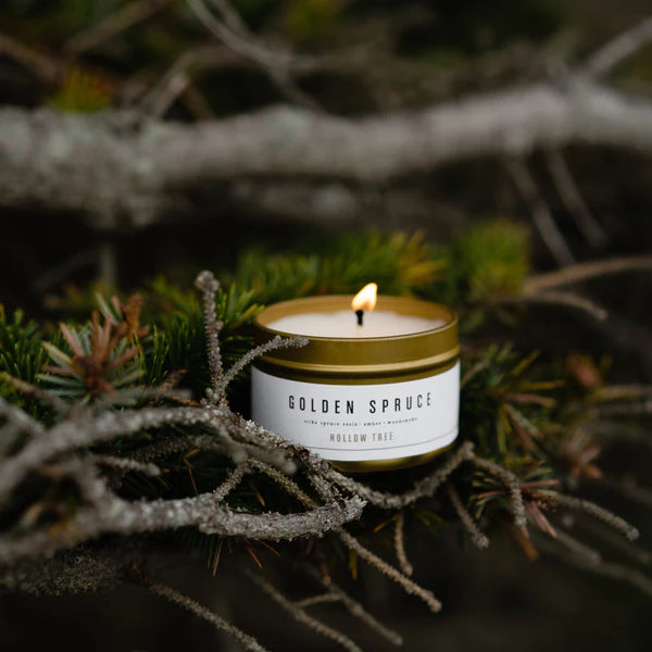 Golden Spruce Travel Candle