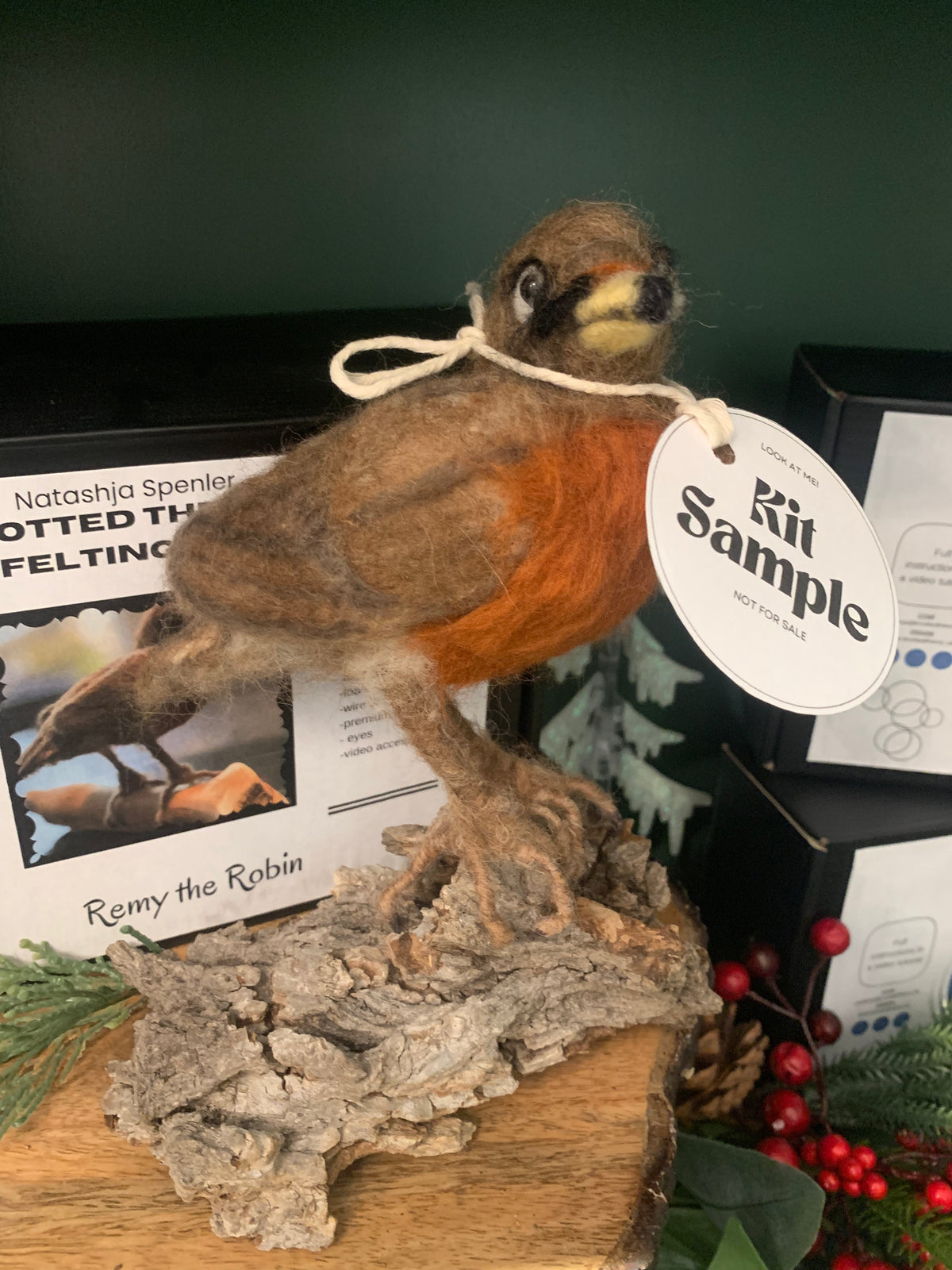 Knotted Theory Felted Robin Kit