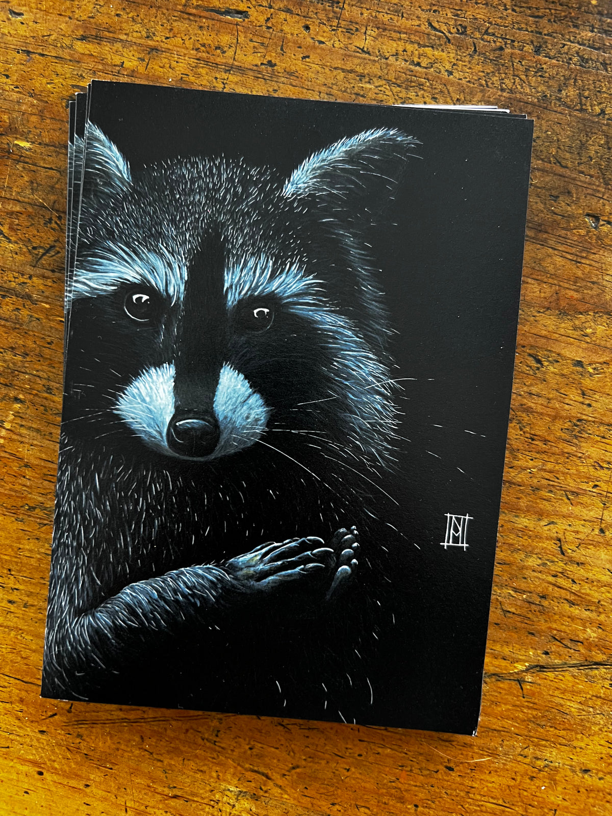 Wild Grey Fox - Greeting Cards