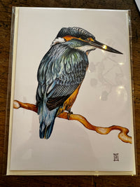 Wild Grey Fox - Greeting Cards