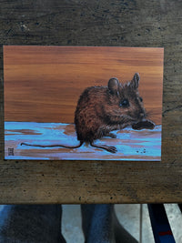 Wild Grey Fox - Greeting Cards