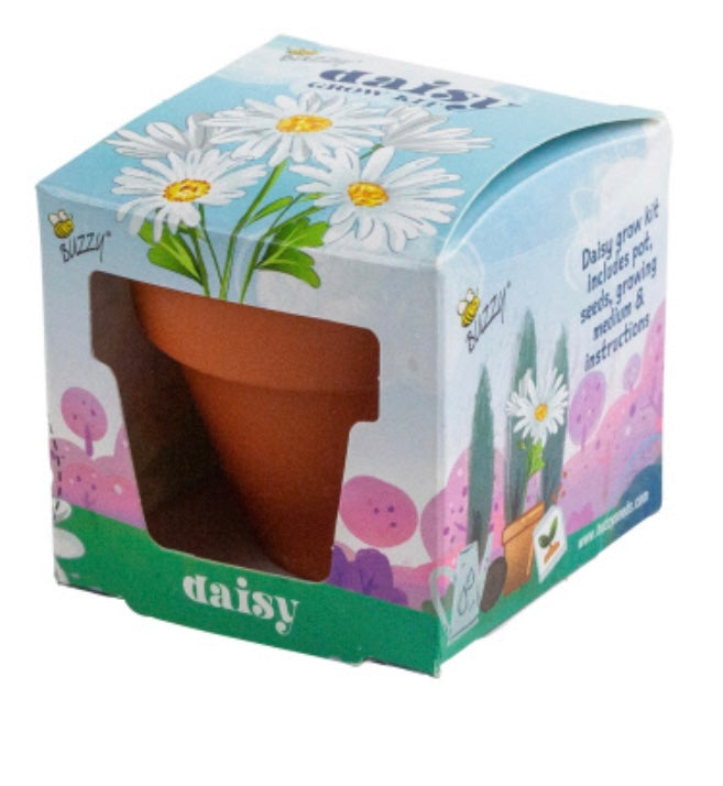 mini flower pots with seeds Buzzy Seeds - Kids Mini Grow Pot