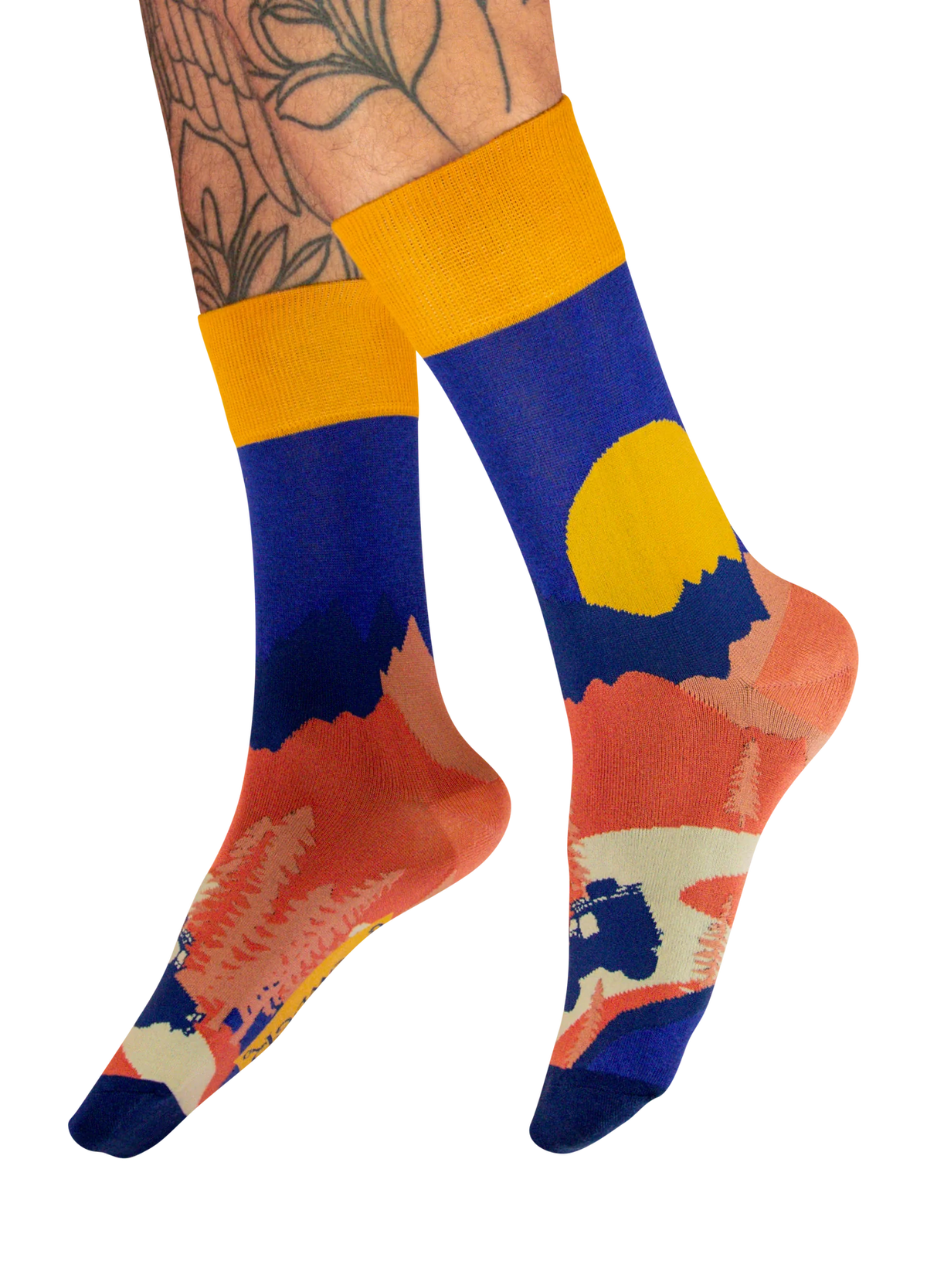 Men's Winding Road Socks