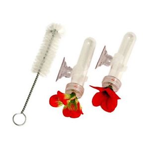 Window/ Hand Hummingbird Feeder