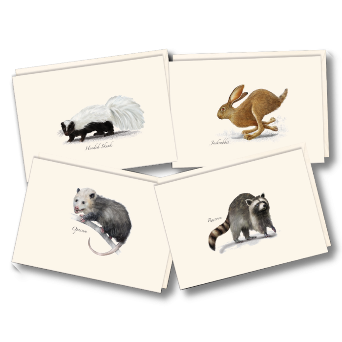 Small Mammal Assortment Boxed Notecards