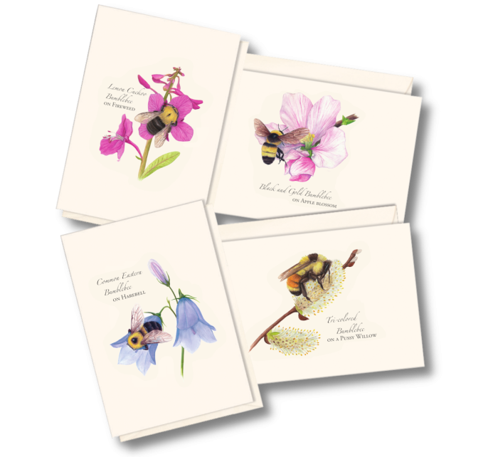 Spring Bee Assortment Boxed Notecards