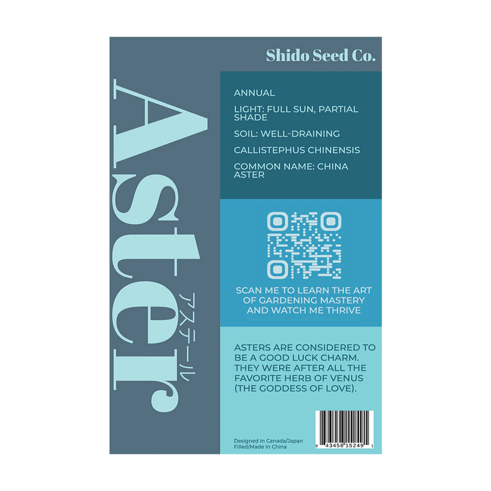 Aster Flower Seeds Packet