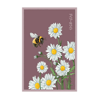 Daisy White Flower Seeds Packet