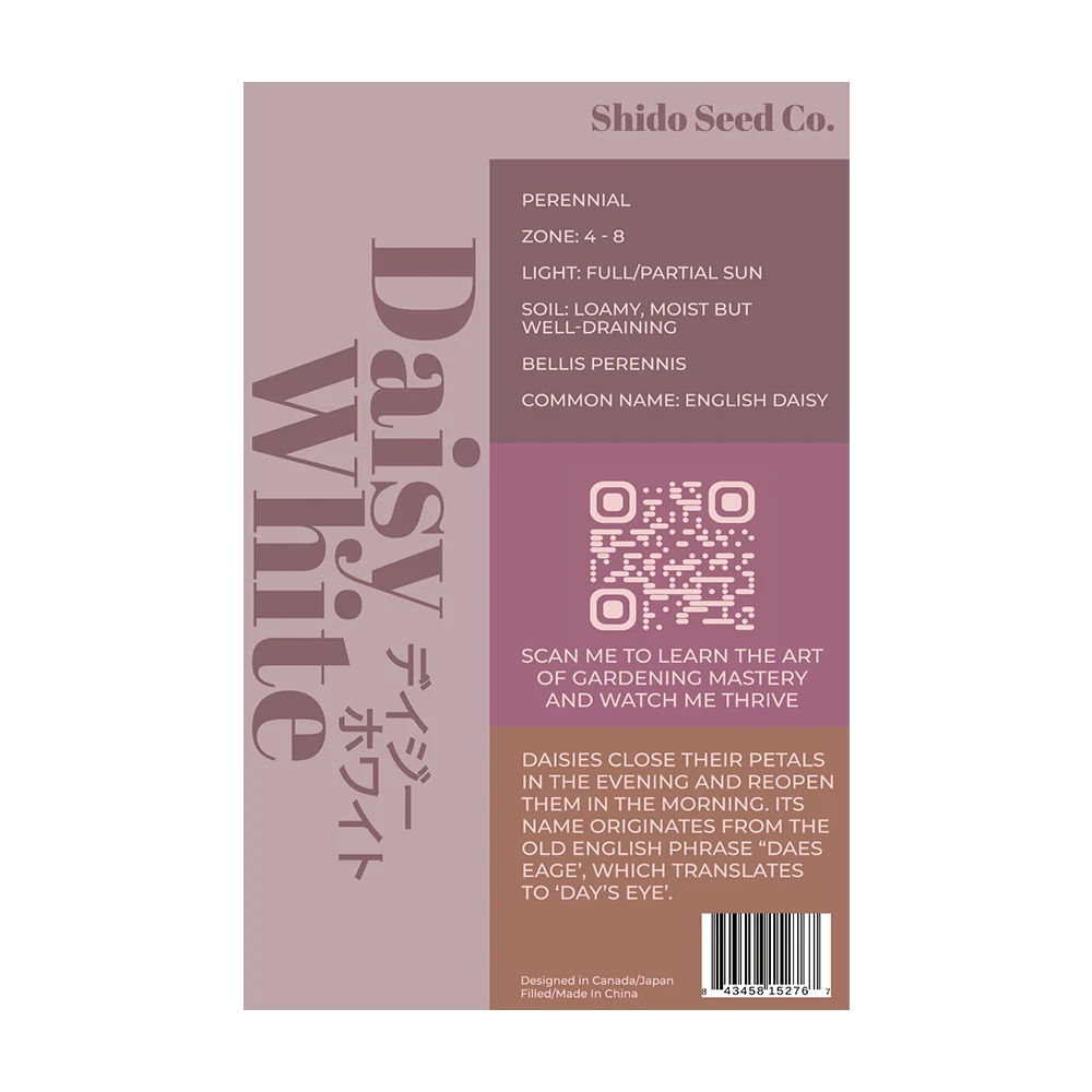 Daisy White Flower Seeds Packet