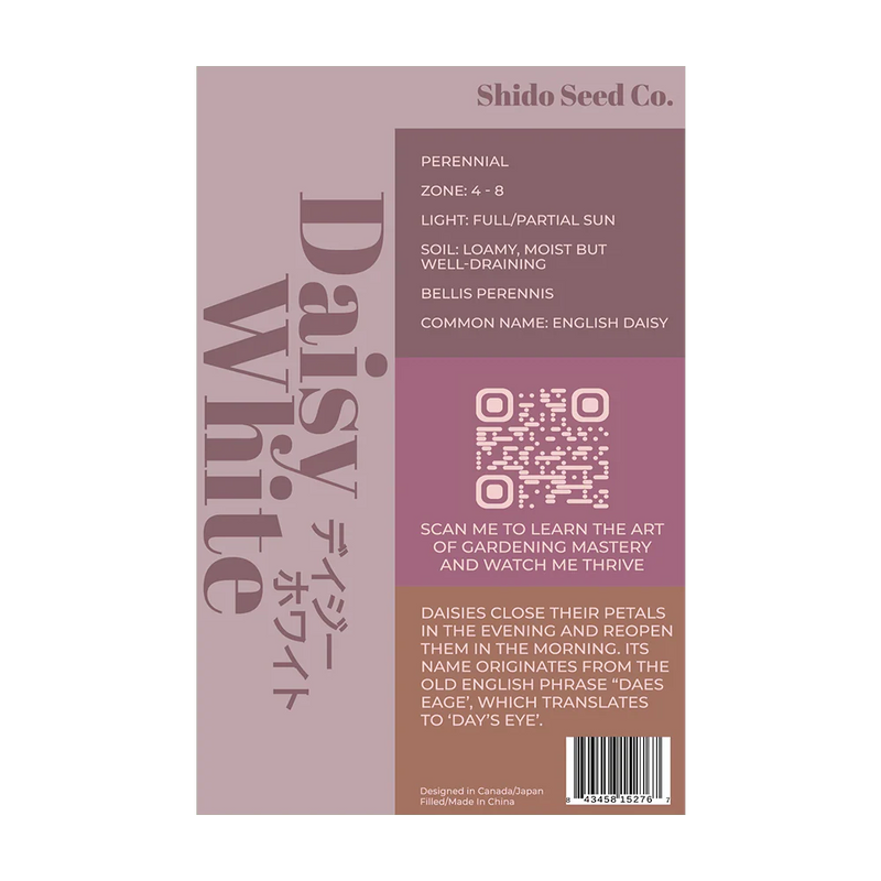 Daisy White Flower Seeds Packet