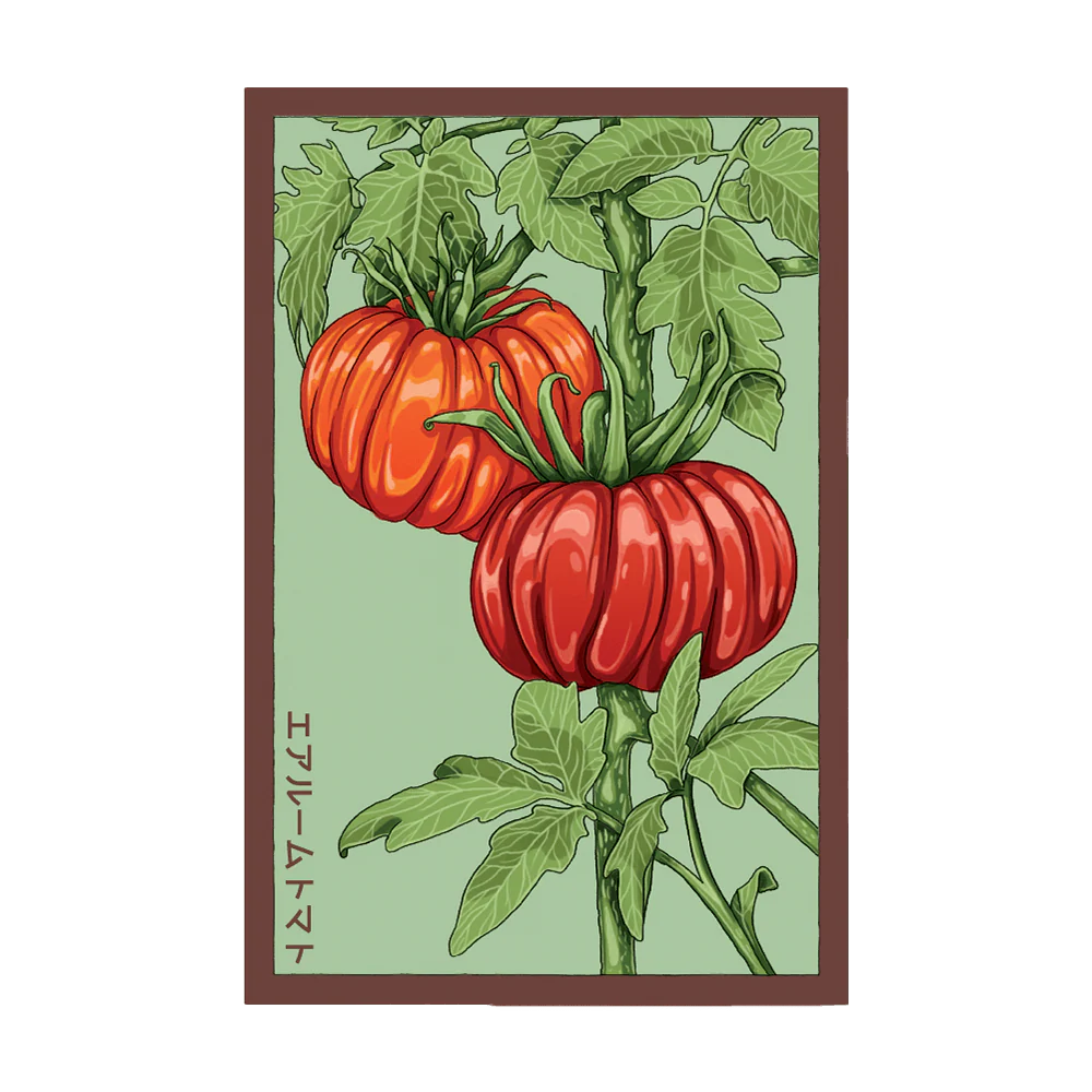 Heirloom Tomato Vegetable Seeds Packet