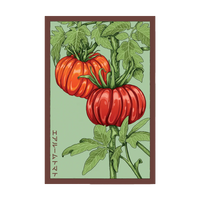 Heirloom Tomato Vegetable Seeds Packet