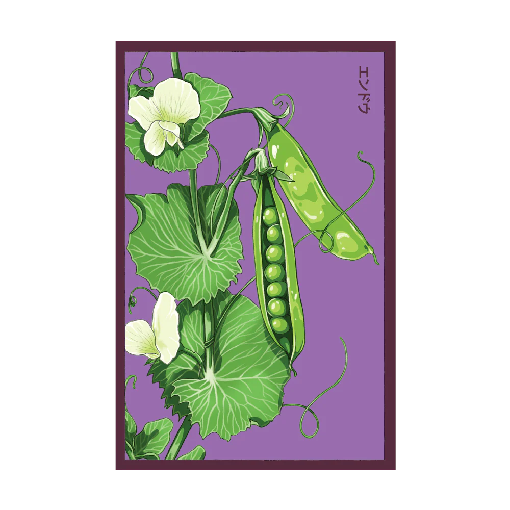 Little Marvel Peas Vegetable Seeds Packet