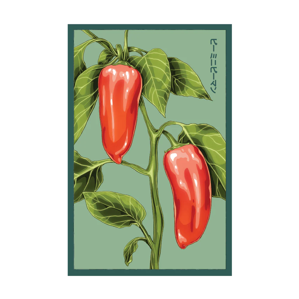 Mini Sweet Peppers Vegetable Seeds Packet