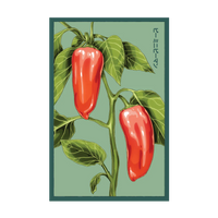 Mini Sweet Peppers Vegetable Seeds Packet