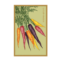 Rainbow Carrot Vegetable Seeds Packet