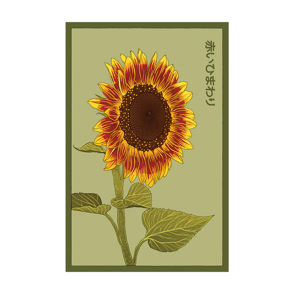 Red Sunflower Flower Seeds Packet