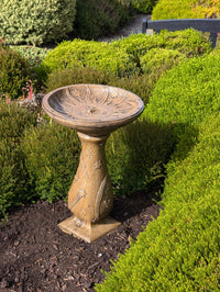 Astronomy Birdbath