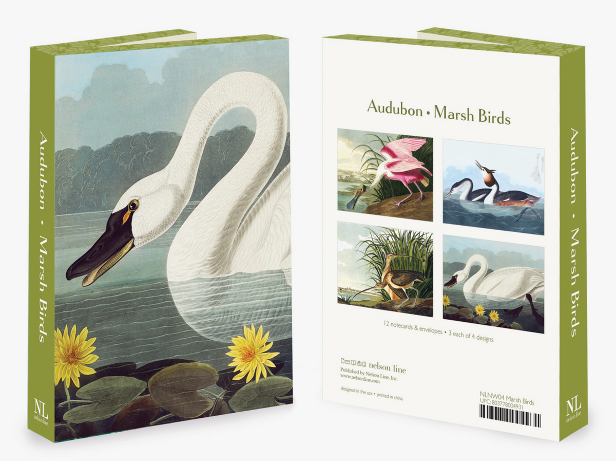 Audubon Marsh Birds Box Set of Cards