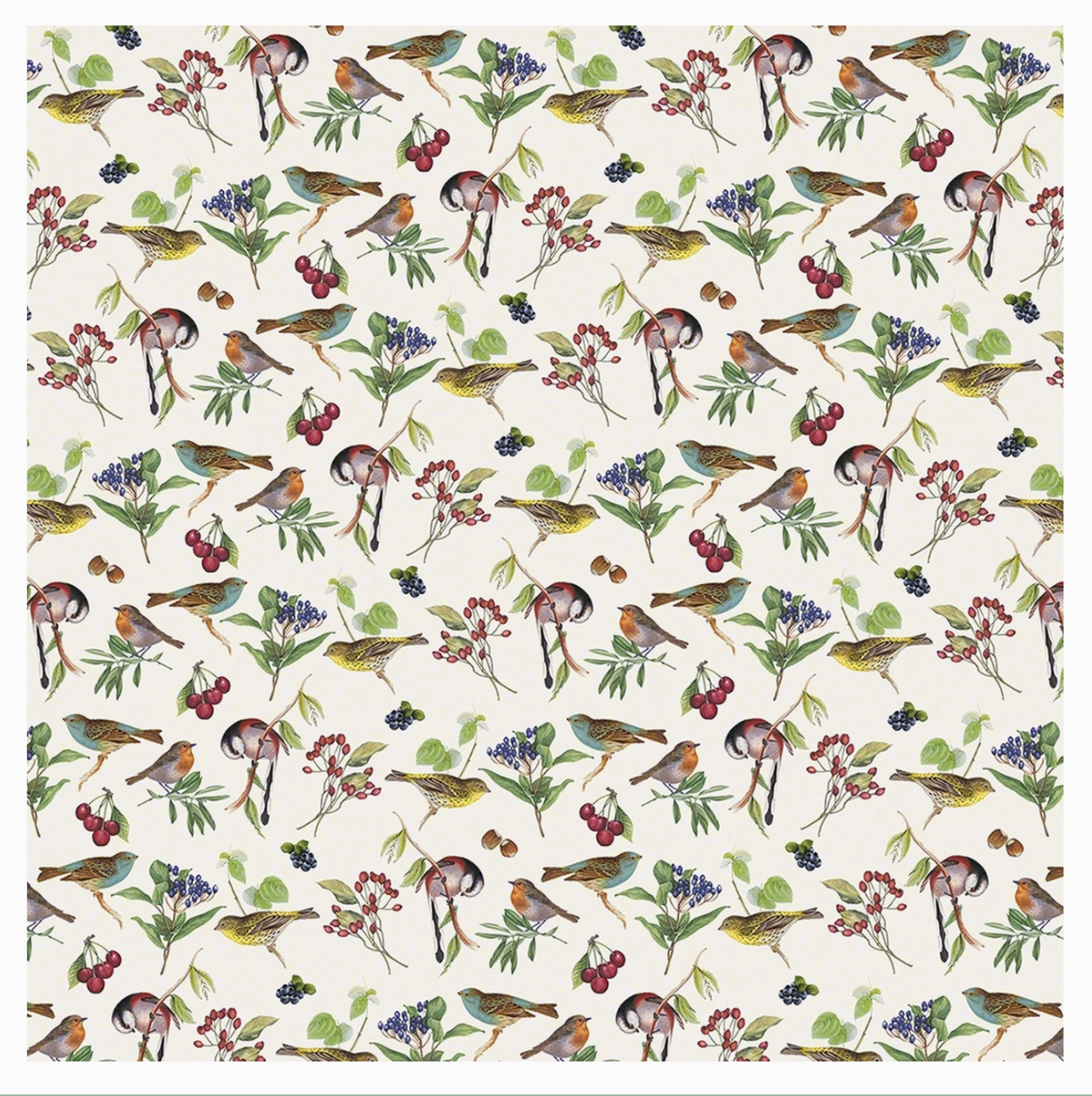 Birds Sheet Wrapping Paper - 3 pack