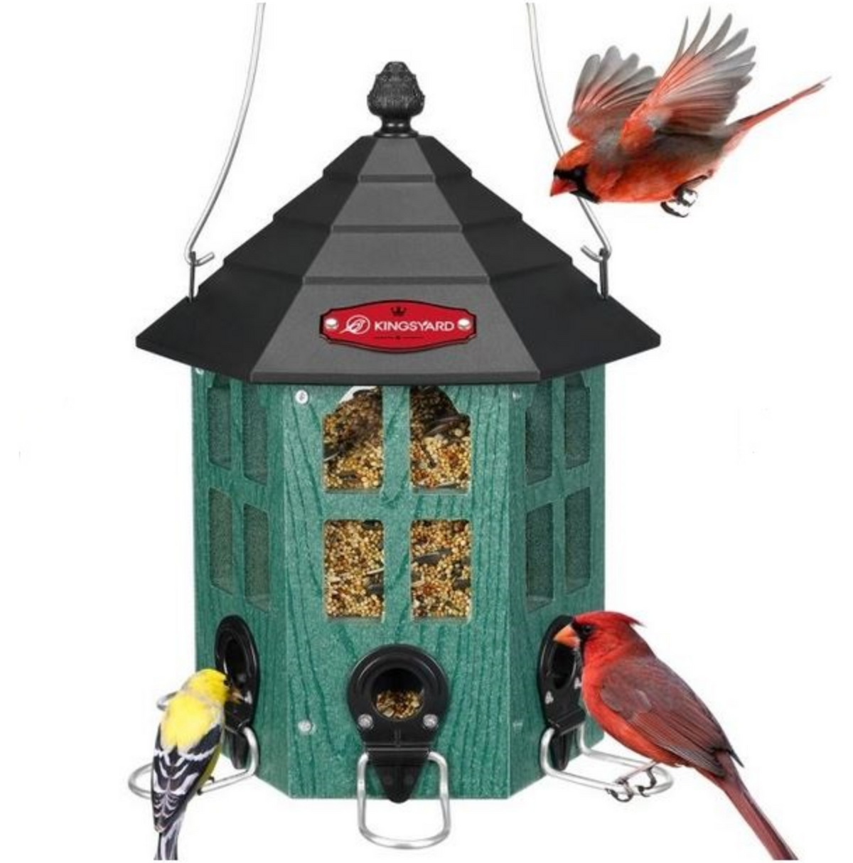 Green Recycled Hex Feeder