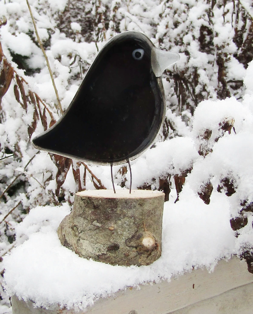 The Glass Bakery Crow