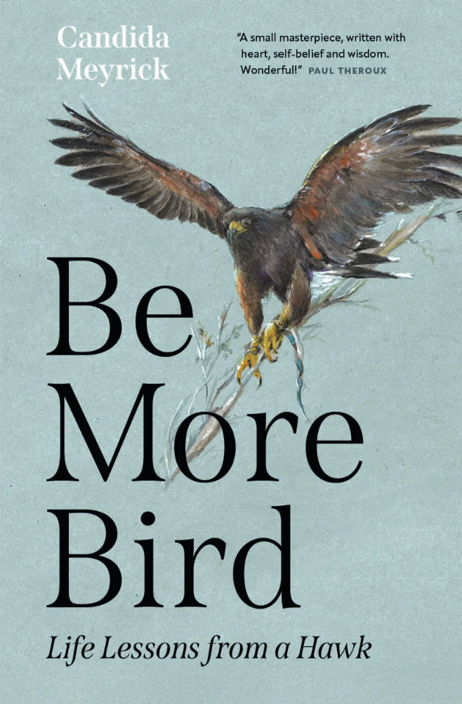 Be More Bird by Candida Meyrick