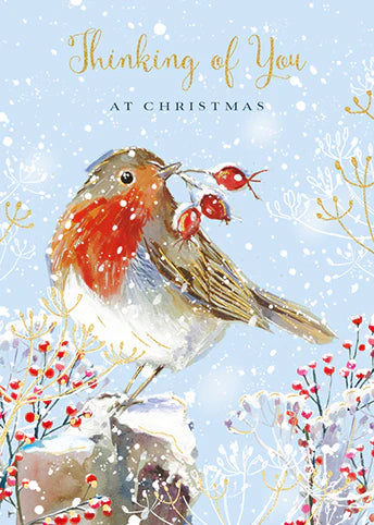 Little Robin Christmas Card