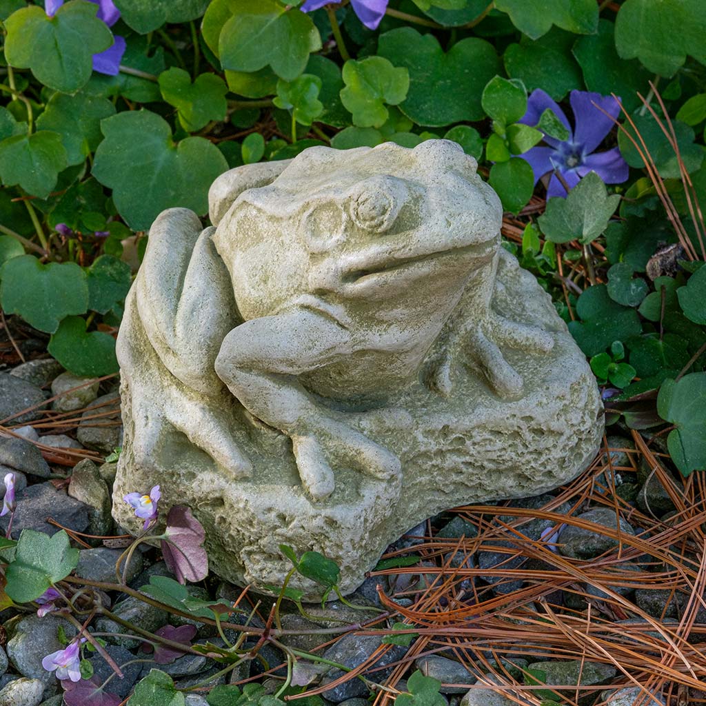 Campania Forest Frog