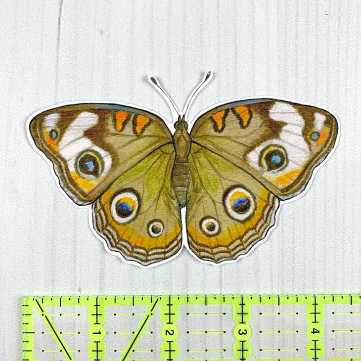 Common Buckeye Butterfly Vinyl Sticker